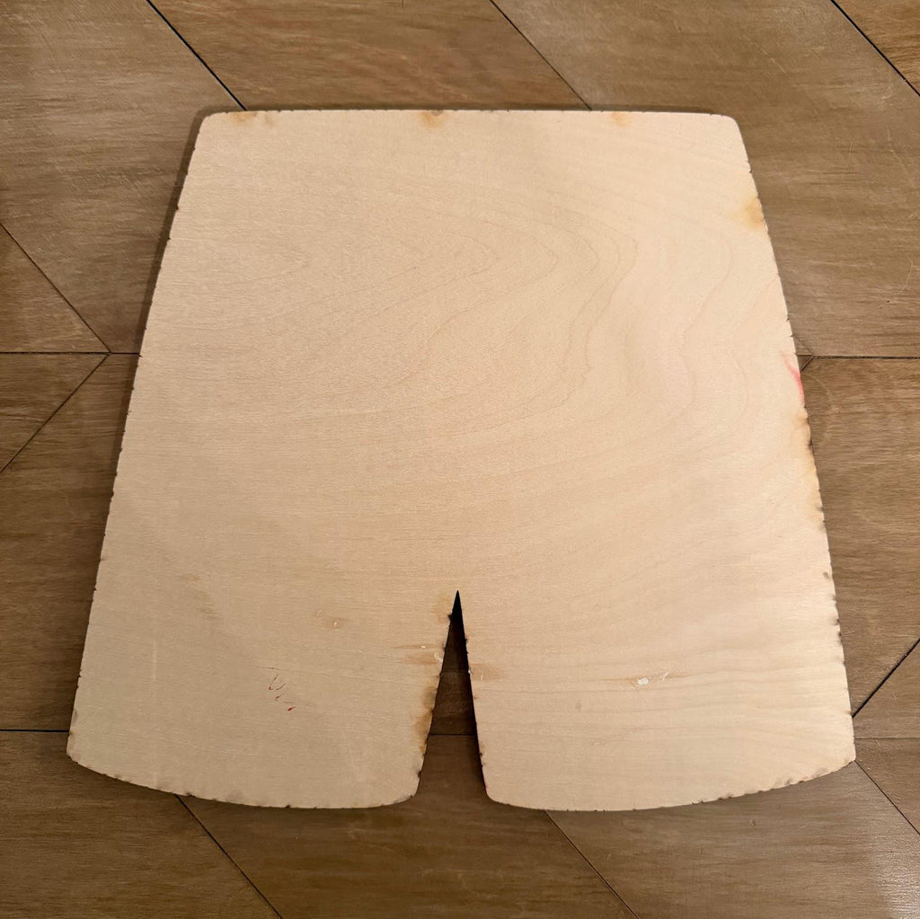 Dungeon Crawler Carl Boxer Shorts Sign – Layered Wood Wall Art