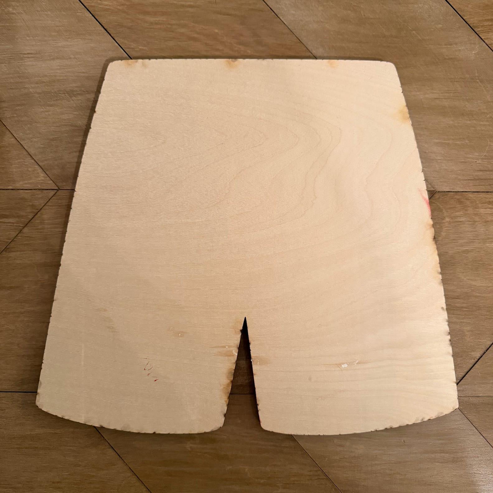 Dungeon Crawler Carl Boxer Shorts Sign – Layered Wood Wall Art