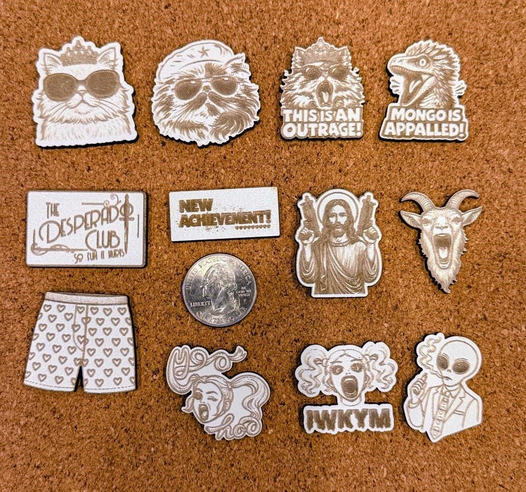 Dungeon Crawler Carl Pin Set – 12 Engraved Pins | Princess Donut, Mongo, Quasar, Desperado Club | Nerdy Gift | Laser Engraved Pins
