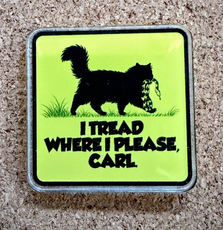 Dungeon Crawler Carl Acrylic Pins | Princess Donut, Mongo, Prepotente Designs (24 Designs)