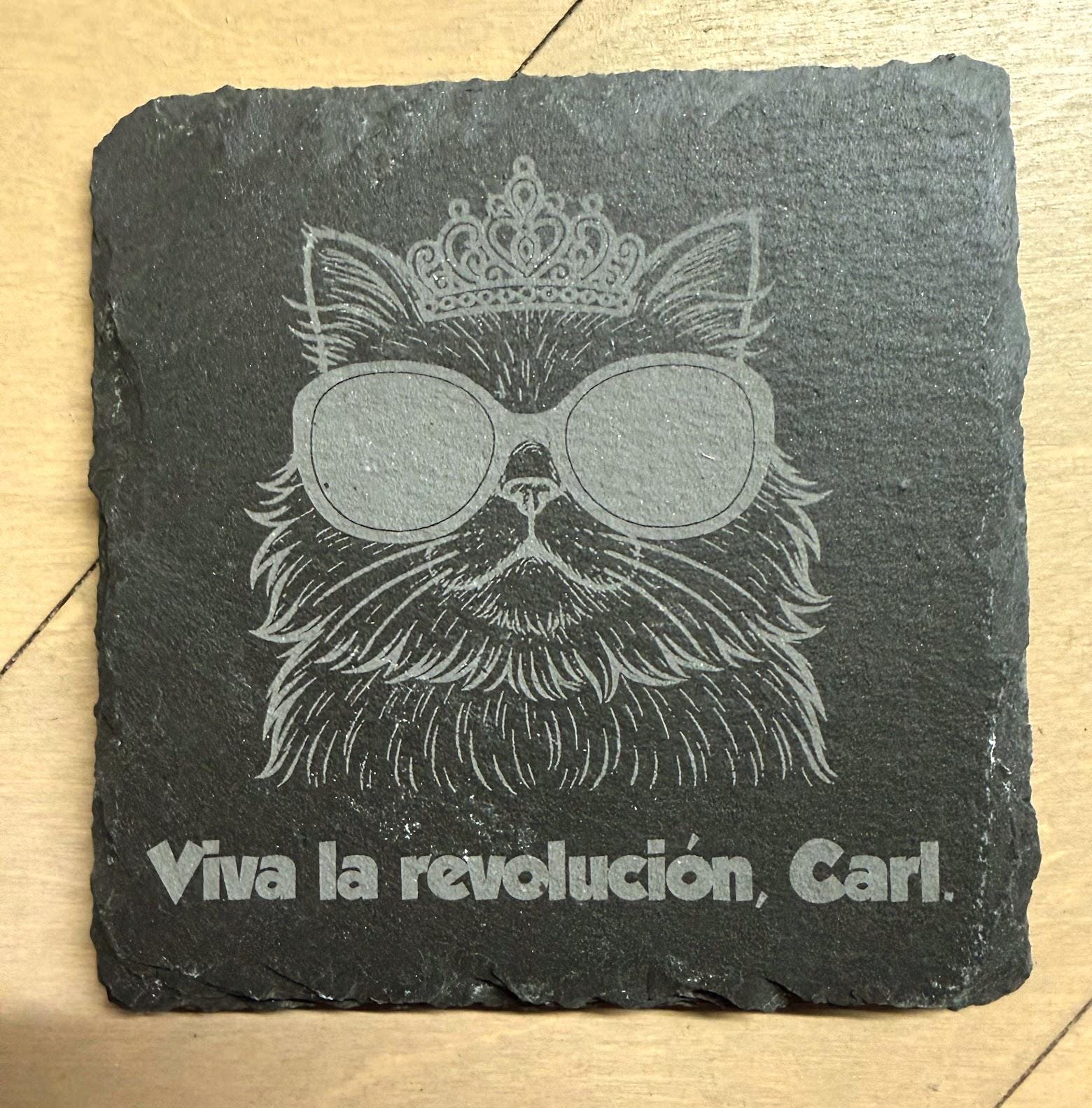 Dungeon Crawler Carl - Engraved Slate Coaster Set of 6