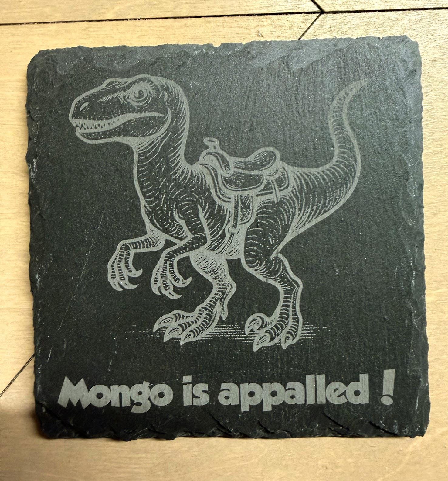 Dungeon Crawler Carl - Engraved Slate Coaster Set of 6