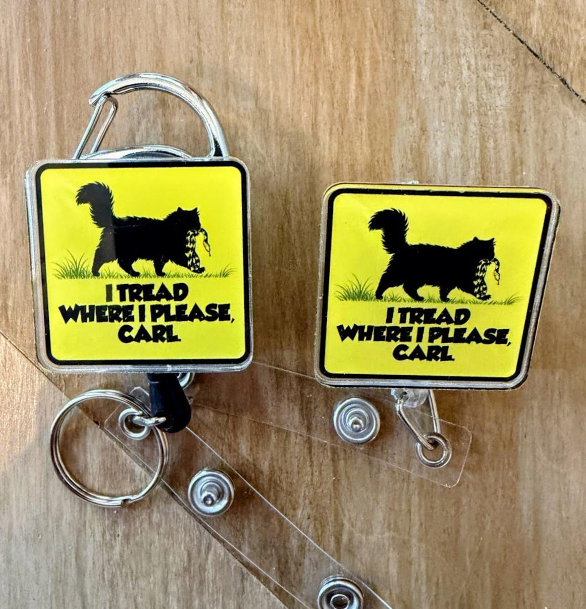 Dungeon Crawler Carl Inspired Badge Reel | Nurse ID Holder | Princess Donut, Mongo Is Appalled, Desperado Club | Retractable Badge Clip