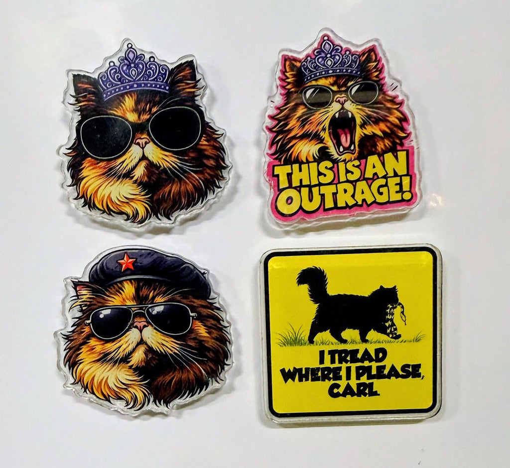 Dungeon Crawler Carl Magnets | Acrylic Fridge Magnets | 48 DCC Designs | Litrpg Merch | Bookish Nerdy Gift