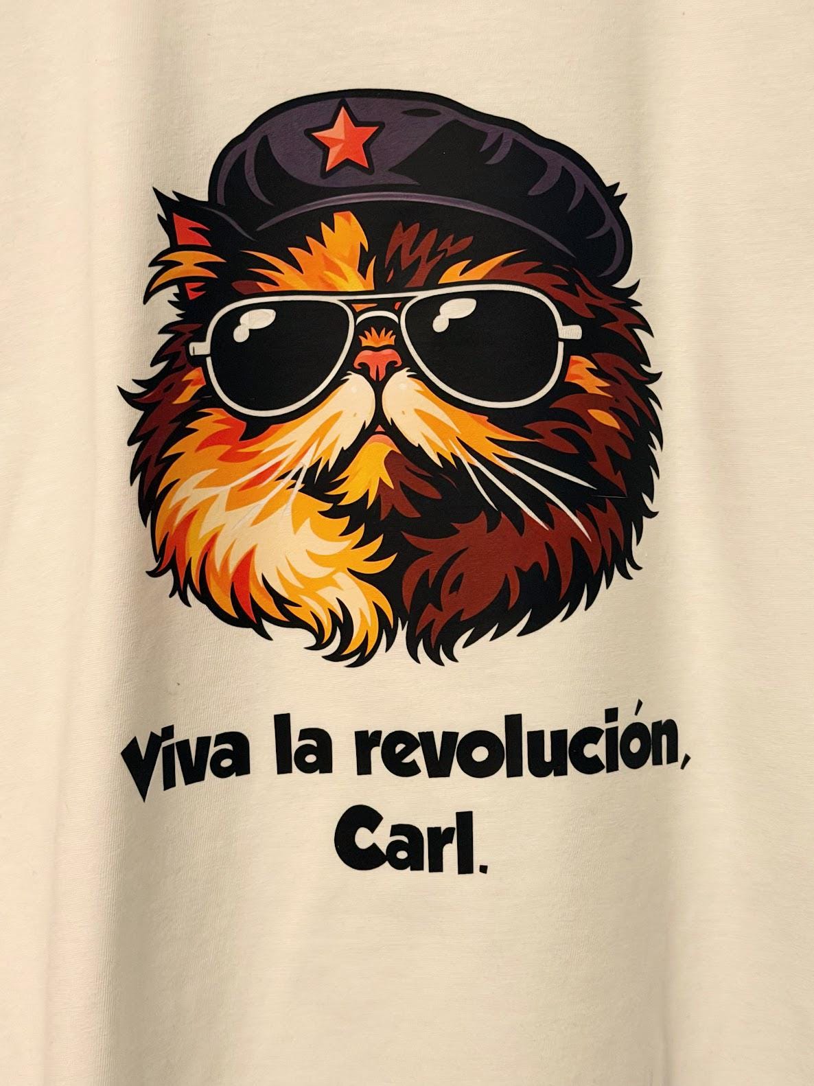 Dungeon Crawler Carl Legendary Loot Box | DCC Mystery Merch Box | LitRPG Collector Gift Set | Shirt, Tumbler, Hat & More